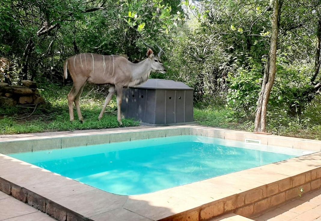 Nature House Marloth Park Buitenkant foto